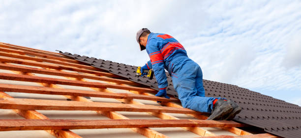 Best Rubber Roofing (EPDM, TPO)  in Danvers, IL