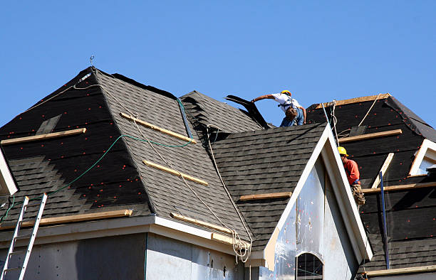 Best Roof Leak Repair  in Danvers, IL